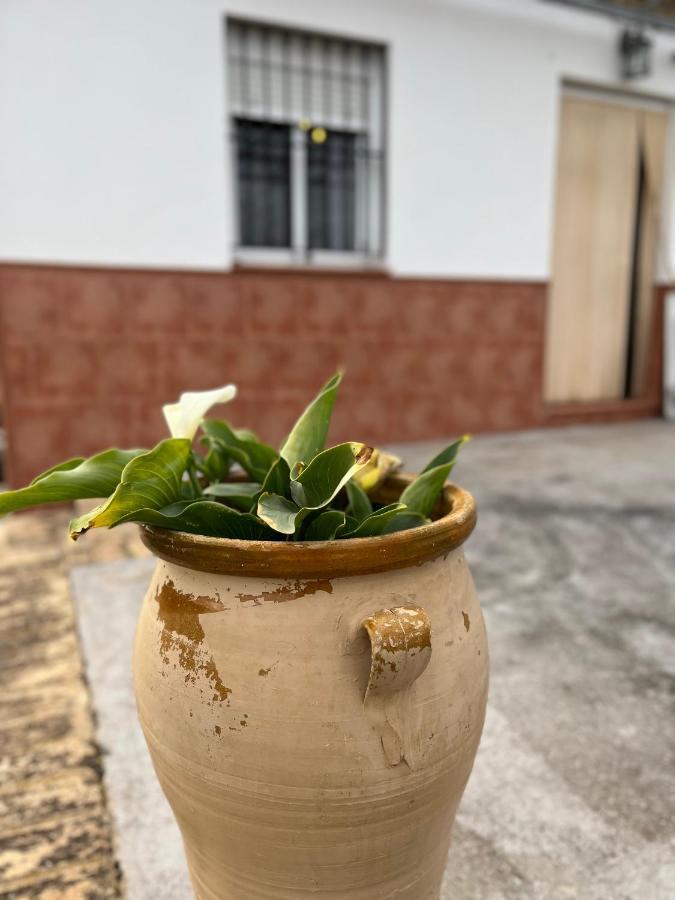 Agua De Verano San Bartolomé de la Torre 外观 照片